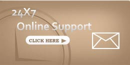 24x7 Online Support